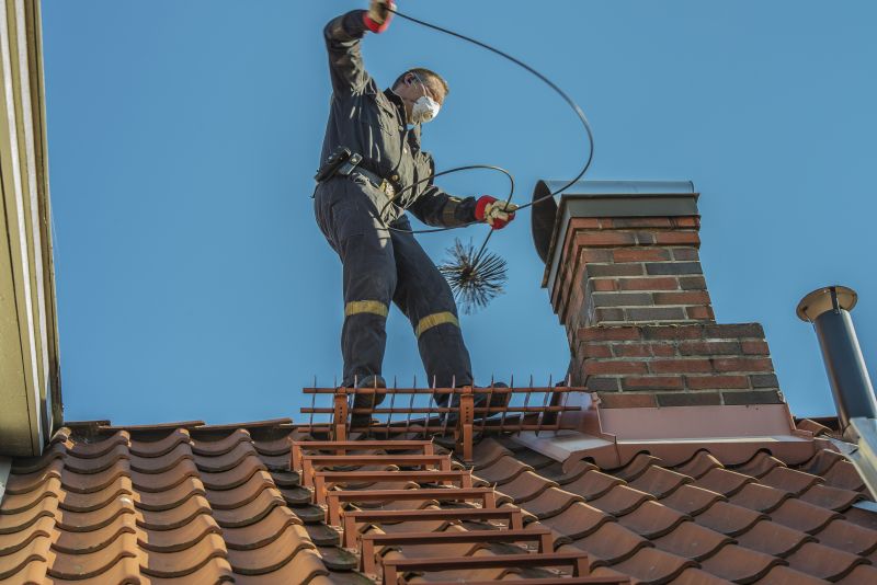 Chimney Animal Removal